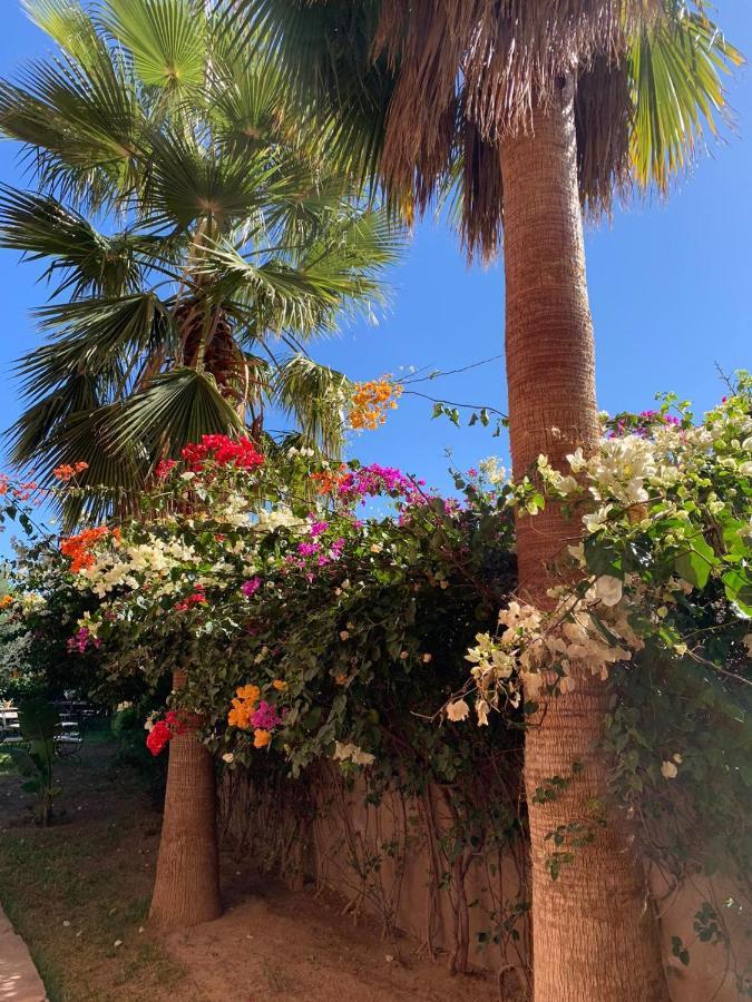 Les Terrasses Du Lac Marrakech Лалла-Такеркуст Экстерьер фото
